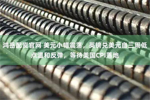 鸿岳配资官网 美元小幅震荡，英镑兑美元自三周低点温和反弹，等待美国CPI落地